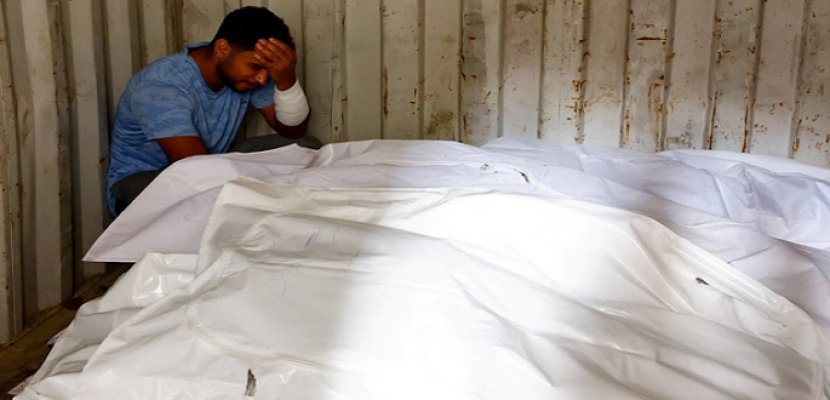 Sorry! Image not available at this time