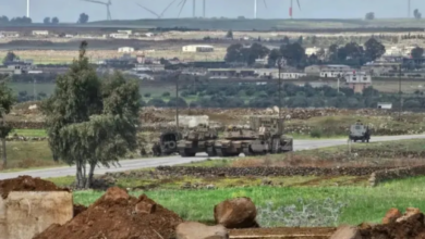  جنود الإحتلال يسرقون قطيعا من الماعز من سوريا