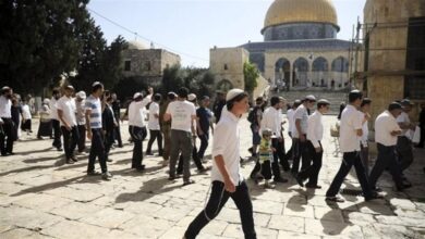 الشرطة الإسرائيلية تسمح لمقتحمي الأقصى باصطحاب أوراق الصلاة اليهودية