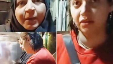 هبة دكتورة الكبدة و الحواوشى تتحدى الجميع