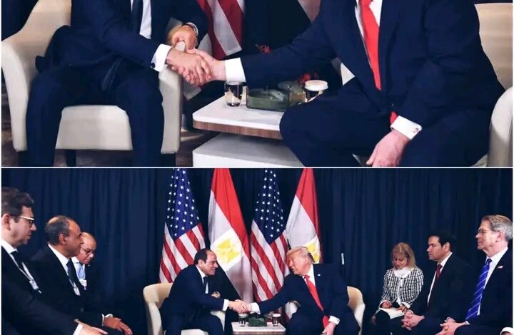 مصر٠٠هي مفتاح السلام في العالم فهل سيحكم العالم من مصر مصر٠٠هي مفتاح السلام في العالم فهل سيحكم العالم من مصر