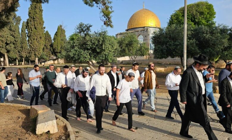 مستوطنون و طلاب يهود يقتحمون المسجد الأقصى مستوطنون و طلاب يهود يقتحمون المسجد الأقصى