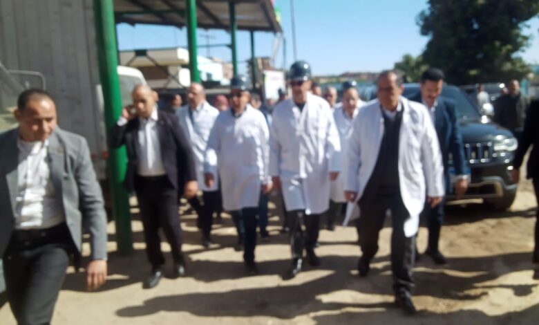 توريد 48 ألف طن قصب لمصنع أبو قرقاص منذ بداية الموسم الجاري توريد 48 ألف طن قصب لمصنع أبو قرقاص منذ بداية الموسم الجاري