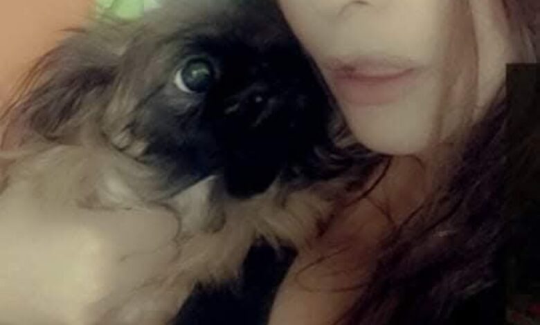 روفيدا الزينى تمنح القطط الضالة طاقة نور تفتح باب أمل