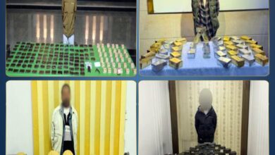 مصرع شخصين وضبط نصف طن مواد مخدرة تقدر ب64مليون جنية خلال مطاردة أمنية بالشرقية