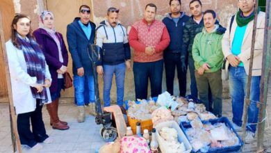 تحرير 412 مخالفة تموينية بسوهاج