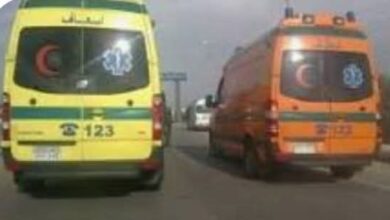 انقلاب ميكروباص بطريق القاهرة–الفيوم الصحراوي