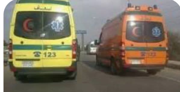 انقلاب ميكروباص بطريق القاهرة–الفيوم الصحراوي انقلاب ميكروباص بطريق القاهرة–الفيوم الصحراوي