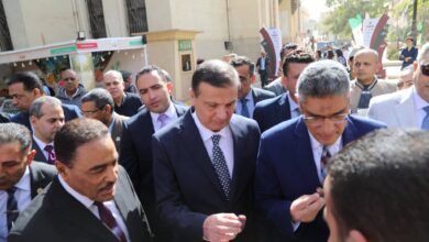 مصر تتصدر العالم في إنتاج التمور بـ2 مليون طن سنويًا