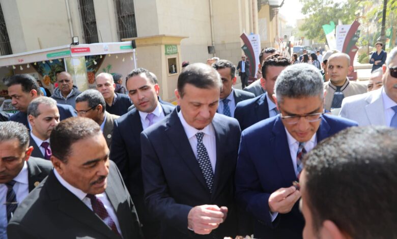 مصر تتصدر العالم في إنتاج التمور بـ2 مليون طن سنويًا