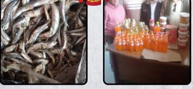 خلال حملة رقابية بكوم حمادة.. ضبط عبوات مواد غذائية منتهية الصلاحية 