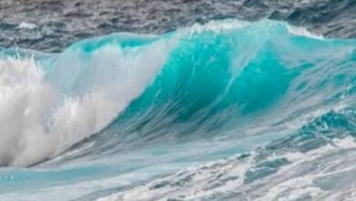 محافظ كفر الشيخ يقرر استمرار توقف الملاحة والصيد بميناء البرلس