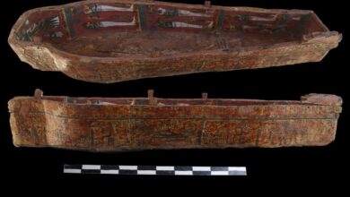 تفاصيل الكشف عن خبيئة التوابيت الملونة لمنشدي آمون بالأقصر