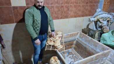 الغربية تواصل حملاتها اليومية على مخابز الخبز المدعم لضمان جودة الإنتاج للمواطنين