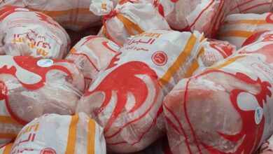 بعد الإرتفاع الجنونى لأسعار اللحوم والدواجن.. هل أصبحت “المجمدات ” الملاذ الآمن للبروتين فى مصر