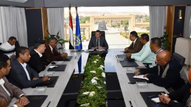 محافظ أسوان : تنفيذ خطة متكاملة لإعادة تنظيم وضبط الأسواق