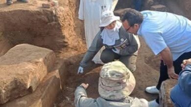 «البعثة المصرية ـالصينية» تعلن اكتشاف حجر جيرى و5 تماثيل لابو الهول «البعثة المصرية ـالصينية» تعلن اكتشاف حجر جيرى و5 تماثيل لابو الهول