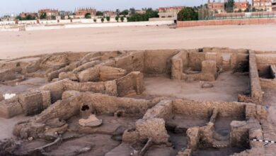 “البعثة المصرية ـ الفرنسية” تعلن اكتشافات موقع شيخ العرب همام بقنا