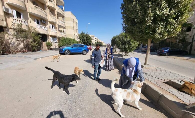 حملات بيطرية موسعة لمكافحة السعار: تحصين أكثر من 8 آلاف كلب وتعقيم 1122 منذ مطلع العام
