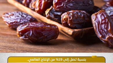 مصر تتصدر إنتاج التمور عالميًا بـ2 مليون طن سنويًا.. توسعات صناعية ودعم دولي يعززان القدرات التصديرية