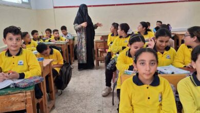 قصر ثقافه البحيرة ينفذ برنامجه الثقافى والفنى ضمن فعاليات “قطار الخير ٢” 