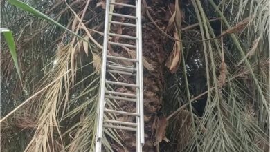 عملية إنقاذ غير متوقعة في سيناء.. ماذا حدث