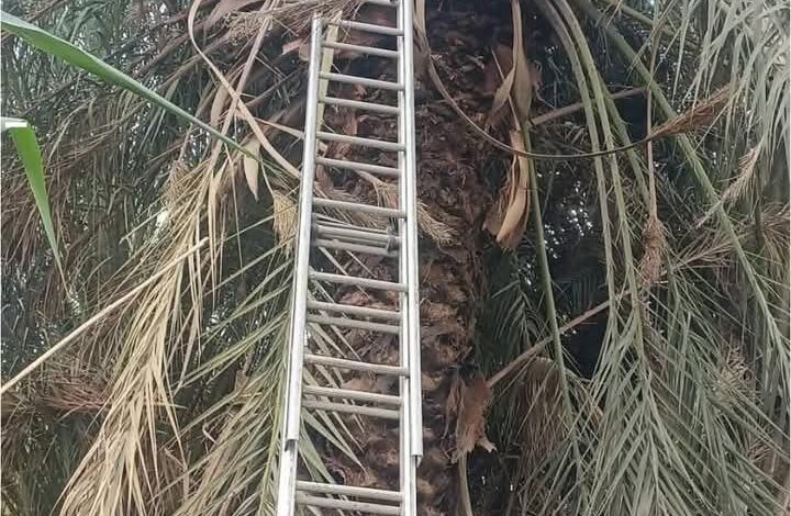 عملية إنقاذ غير متوقعة في سيناء.. ماذا حدث