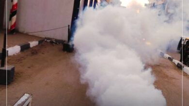 صحة البحيرة: تكثيف أعمال المكافحة لناقلات الأمراض المعدية 