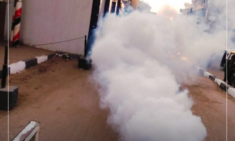 صحة البحيرة: تكثيف أعمال المكافحة لناقلات الأمراض المعدية 