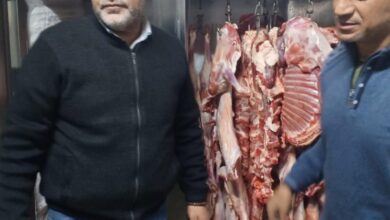 بيطري القليوبية : ضبط ٦ طن لحوم ودهون مذبوحة خارج المجازر وغير صالحة للاستهلاك الآدمى بالعبور