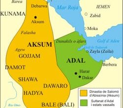 المقال الأول من سلسلة: ممالك اسلامية لها تاربخ”،عظماء كتبوا التاريخ في الظل”