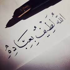 نور الهداية في حياة الإنسان