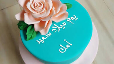 الطبعة الاولى تقدم تهنئة خاصة للاستاذة / أمل أشرف