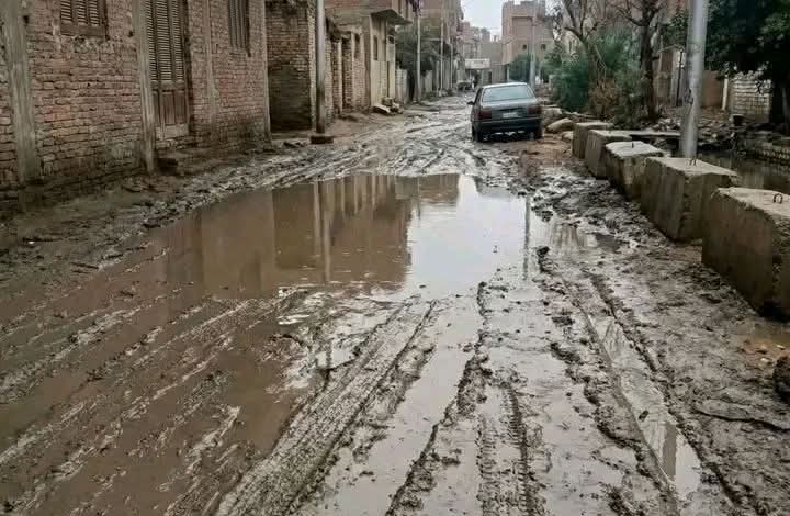 نفوق ماشية بسبب ماس كهربائي ونجاة مزارع بالفيوم