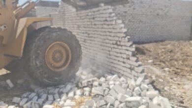  إزالة 18 حالة تعدي على أراضي زراعية وأملاك دولة بأسيوط