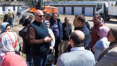 محافظ الإسكندرية يواجه ظاهرة الكلاب الضالة بالشلتر