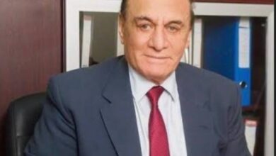 القوة تحمي الاستقرار.. قراءة في فلسفة الأمن المصري