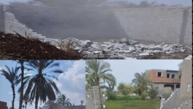 رغم سوء الأحوال الجوية.. حملات إزالة التعديات على الأراضي الزراعية بالفيوم تتواصل