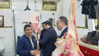 “الزراعة” تضبط 38 طنًا من اللحوم والأسماك غير المطابقة