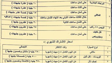 مدينة الأقصر تعلن رسميا تنظيم انتظار المركبات فى الشوارع