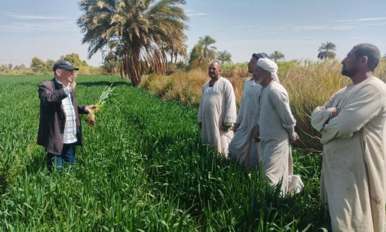 «زراعة الأقصر» تعلن مشروعات و انجازات شهر فبراير بالقرى