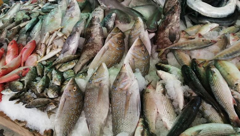 أسعار الأسماك بسوق الأنصاري في السويس اليوم