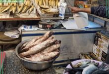 تموين الشرقية:ضبط أكثر من ١٦ طن أسماك مملحة ومدخنة خلال الحملات  