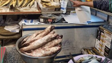 تموين الشرقية:ضبط أكثر من ١٦ طن أسماك مملحة ومدخنة خلال الحملات  