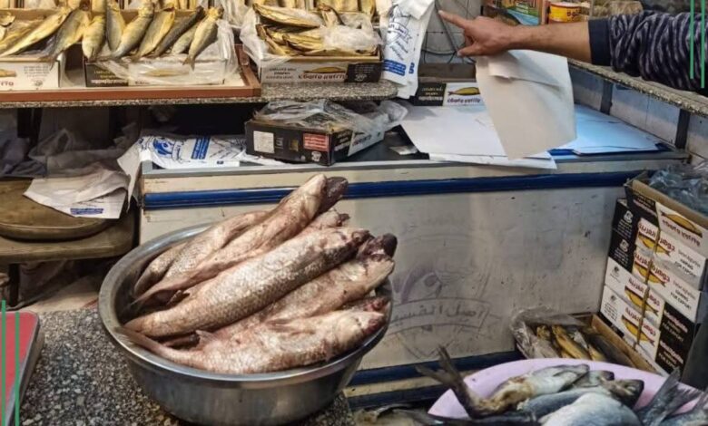 تموين الشرقية:ضبط أكثر من ١٦ طن أسماك مملحة ومدخنة خلال الحملات  