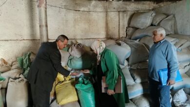  تموين الشرقية يضبط  113طن مواد بترولية وأعشاب و26 ألف علبة دواء