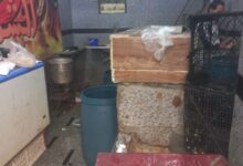 البيئة بالشرقية تنفذ حملات تفتيشية على ٤٩منشأة غذائية وصناعية وتحرير ٧٩  محضراً