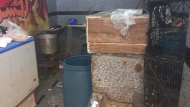 البيئة بالشرقية تنفذ حملات تفتيشية على ٤٩منشأة غذائية وصناعية وتحرير ٧٩  محضراً