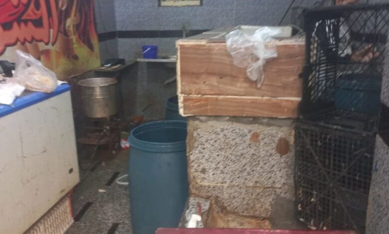 البيئة بالشرقية تنفذ حملات تفتيشية على ٤٩منشأة غذائية وصناعية وتحرير ٧٩  محضراً