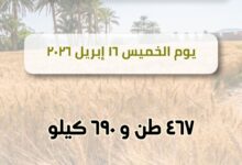قمح الشرقية:استقبال  ٤٦٧طن ٦٩٠كيلو قمح بالشون والصوامع  